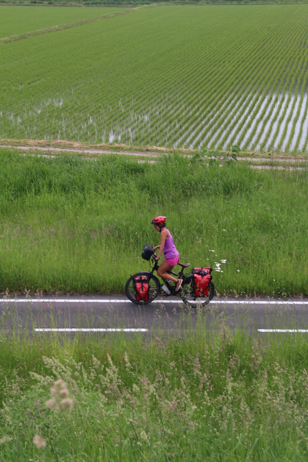 Bicycle trail
