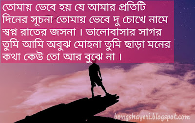 Love Shayari In Bengali For Girlfriend 