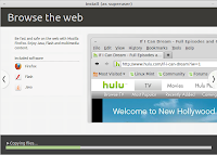 Browse the websites safely with Linux Mint