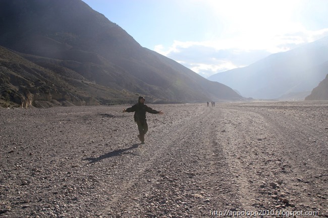 2010-10-24__1756-09_1507__Herman3