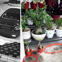 Aksi warga emas berusia 82 tahun curi pasu dirakam CCTV