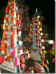 shashti 2009-11-23 104