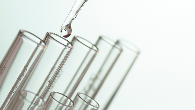 Exploring the Scientific Concepts of Life
