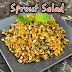 Green gram sprouts salad/ Kosambari style