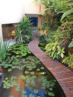 pond narrow garden