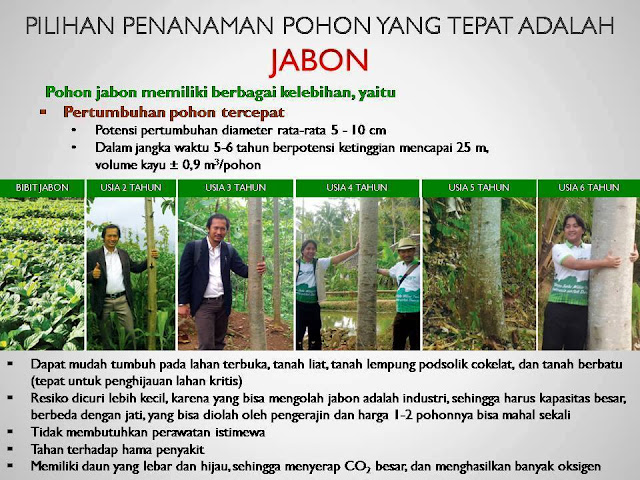 Kebon Jabon