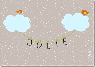 naiss-oiseaux-nuages-face