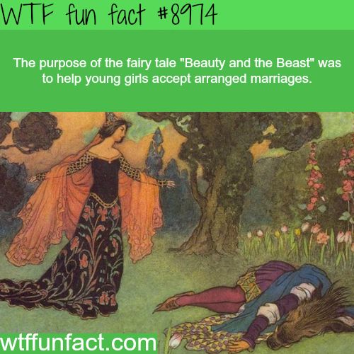 Amazing Weird And Interesting Random Facts