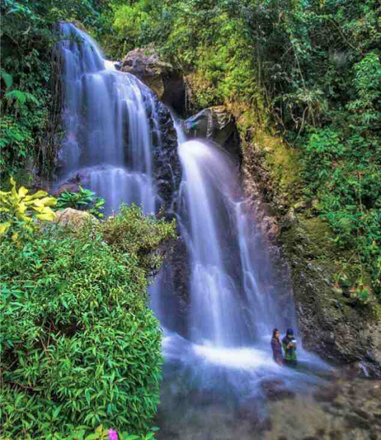 Lokasi tempat hunting keren di bogor