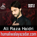 https://www.humaliwalayazadar.com/2013/12/ali-raza-haidri-audio-nohay-2007-to-2014.html