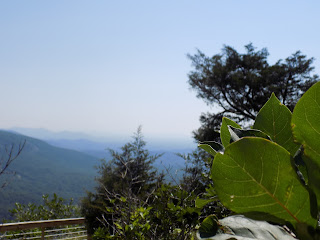  North Carolina