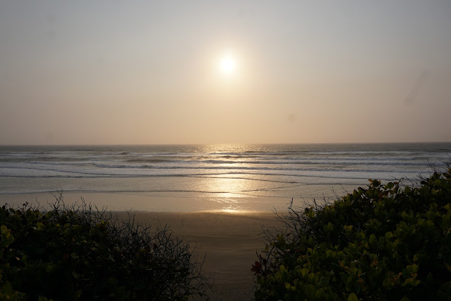 dune oregon area nazionale usa