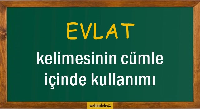 Evlat İle İlgili Cümleler, Kısa Cümle İçinde Kullanımı