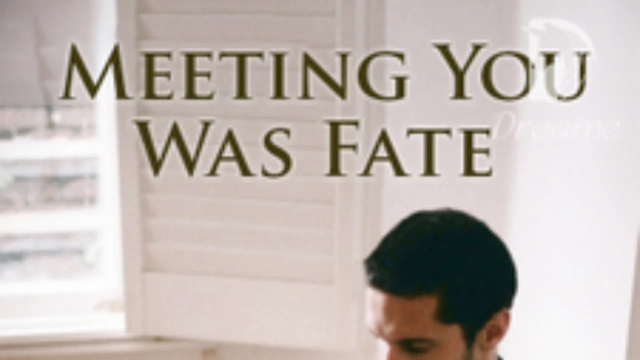 Novel Meeting You Was Fate pdf