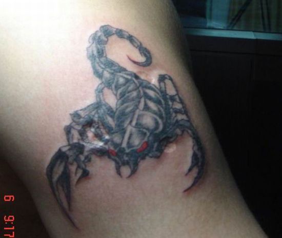 Best Scorpion Tattoos Design Bikini Girl With Scorpions Tattoos