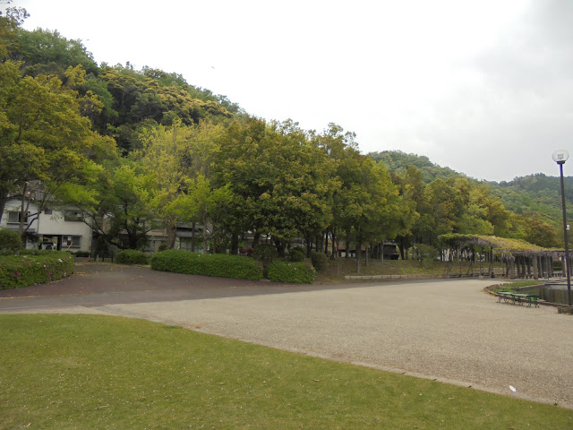 東郷湖羽合臨海公園あやめ池公園