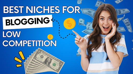 Best Niche To Earn Money