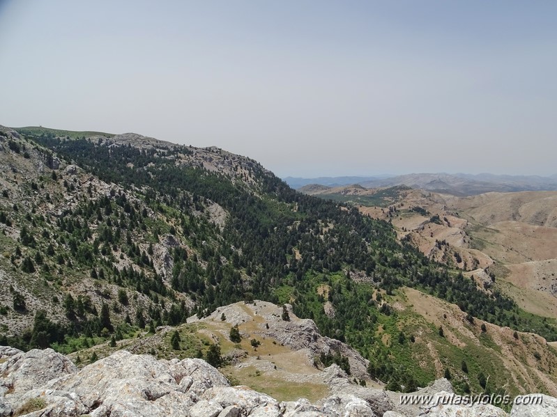 Quejigales-Tajo del Canalizo-Enamorados-Cerro Alto