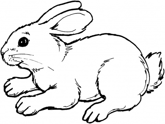 Rabbit Coloring Pages Bunny Coloring