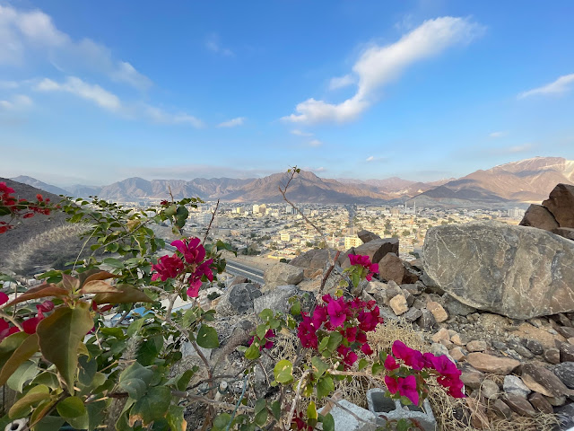 View from Al Rabi Tower