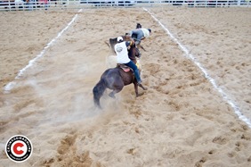 _DSC0295