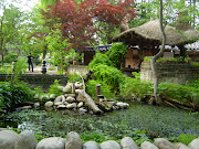 South Korea: Nami Island (nami island )