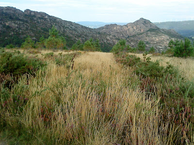 O Pindo 2012 / Trekking trail A Moa / Roteiro da Moa (by E.V.Pita)