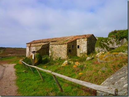 P1200194