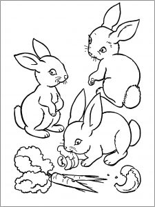 Cute Bunny Coloring Pages Printable PDF