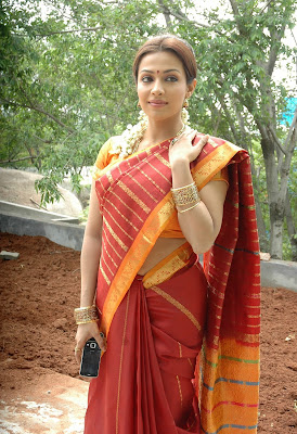 Actress Asha Saini (Flora/Mayuri) in Hot Saree HQ Photos Gallery