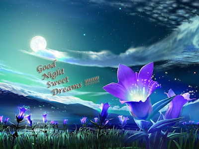 Good Night love wallpapers | beautiful Good Night wallpaper | free Good Night wallpapers | new latest Good Night pictures | free download Good Night pics | very nice hd wallpaper |hd photos good night | good night hd image | love gn wallpaper | hd wallpaper | new latest hd wallpaper Sweet Dreams wallpaper | hd pictures Good night | Good Morning and Good Night Wallpapers | good night HD wallpapers/images