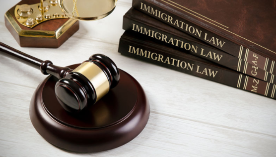 Qualities You Should Find In an Immigration Lawyer