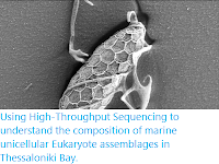 https://sciencythoughts.blogspot.com/2020/04/using-high-throughput-sequencing-to.html