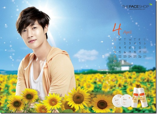tfs (3)