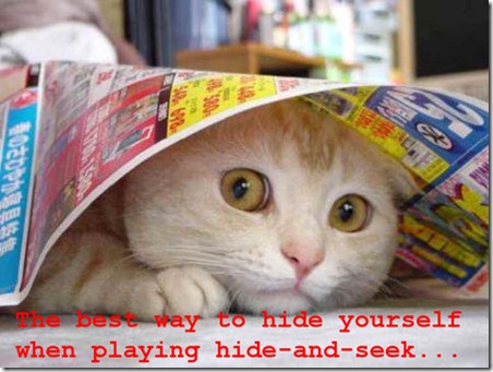 Funny Pictures: Let me show you how to hide!