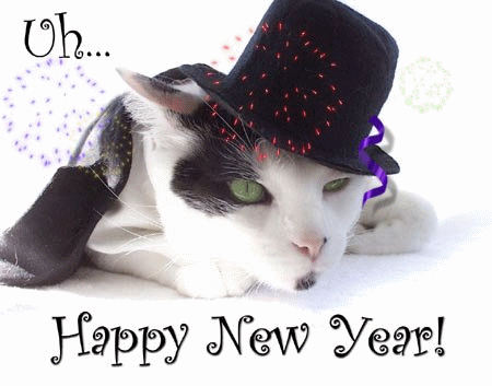 wallpapers cat. new year cat wallpapers.