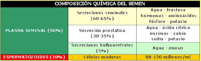 composición química del semen