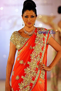 Beautiful Indian Lehenga