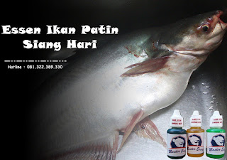 Essen Ikan Patin Khusus Siang Hari