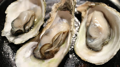 8 Foods That Ensures Your Hair Grow Faster, Oysters