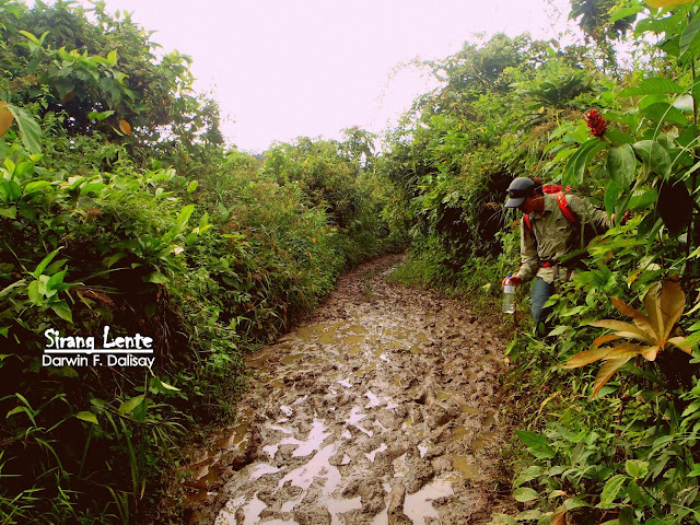 Mt. Mantalingahan
