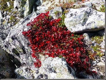 Romsdalseggen-13 073