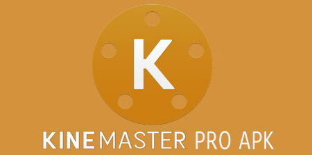 KineMaster mod Premium v4.9.10.12802.CZ Apk