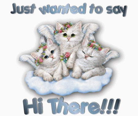 Hi_(2)