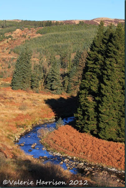 6-river