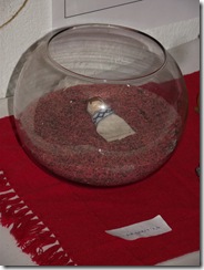 DSCF0152