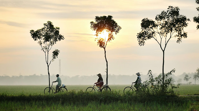 peluang-kerja-green-jobs-di-indonesia