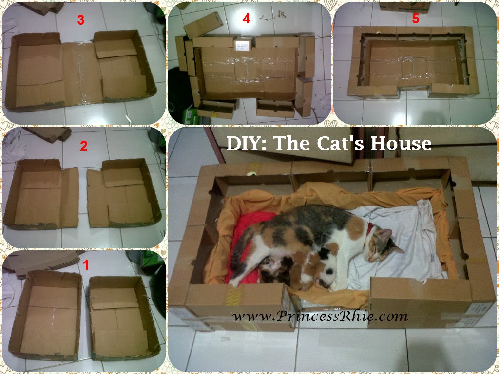 Tempat Tidur Kucing  Sederhana Interior Rumah