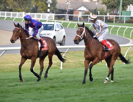 race 6_aj stakes_krone 4