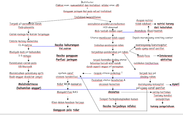  Patofisiologi CA SERVIKS